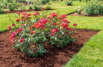 Salem mulch delivery and installation