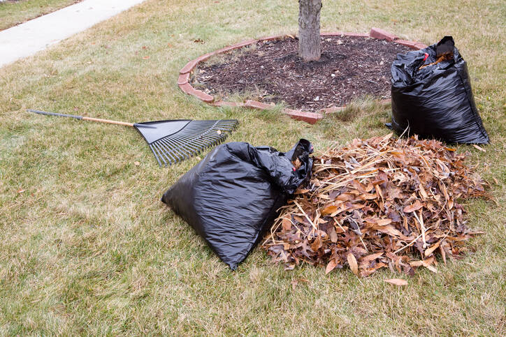 Leaf Removal by 2Amigos Landscapes LLC