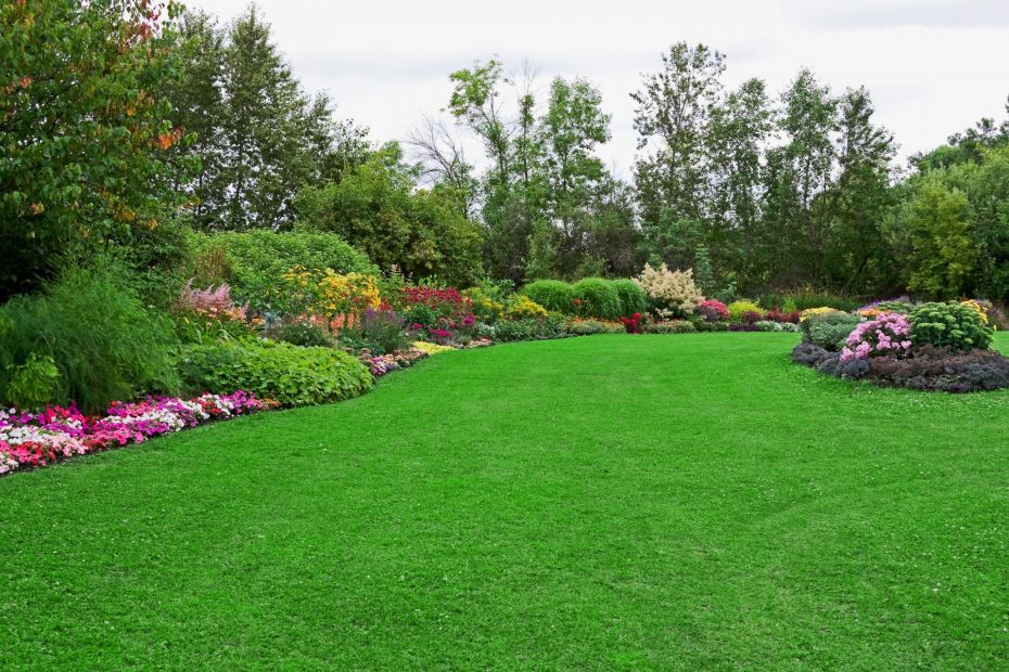 Lawn Fertilization by 2Amigos Landscapes LLC