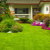 Hardy Landscaping by 2Amigos Landscapes LLC